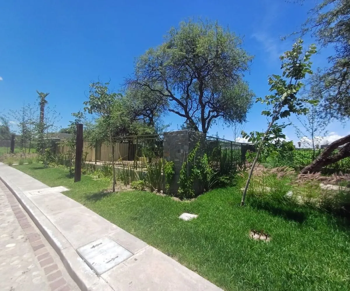 Terreno En Venta,El Salitre,Palma Datilera S/N 146, Querétaro, Querétaro 76127,Palma Datilera,pd7sRgt Terreno En Venta,El Salitre,Palma Datilera S/N 146, Querétaro, Querétaro 76127,Palma Datilera,pd7sRgt