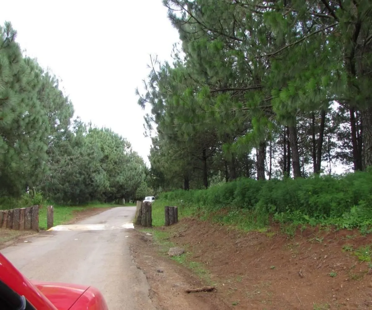 Terreno En Venta,Tapalpa,Hacienda San Francisco S/N, Tapalpa, Jalisco 49340,Hacienda San Francisco,pJI28iM