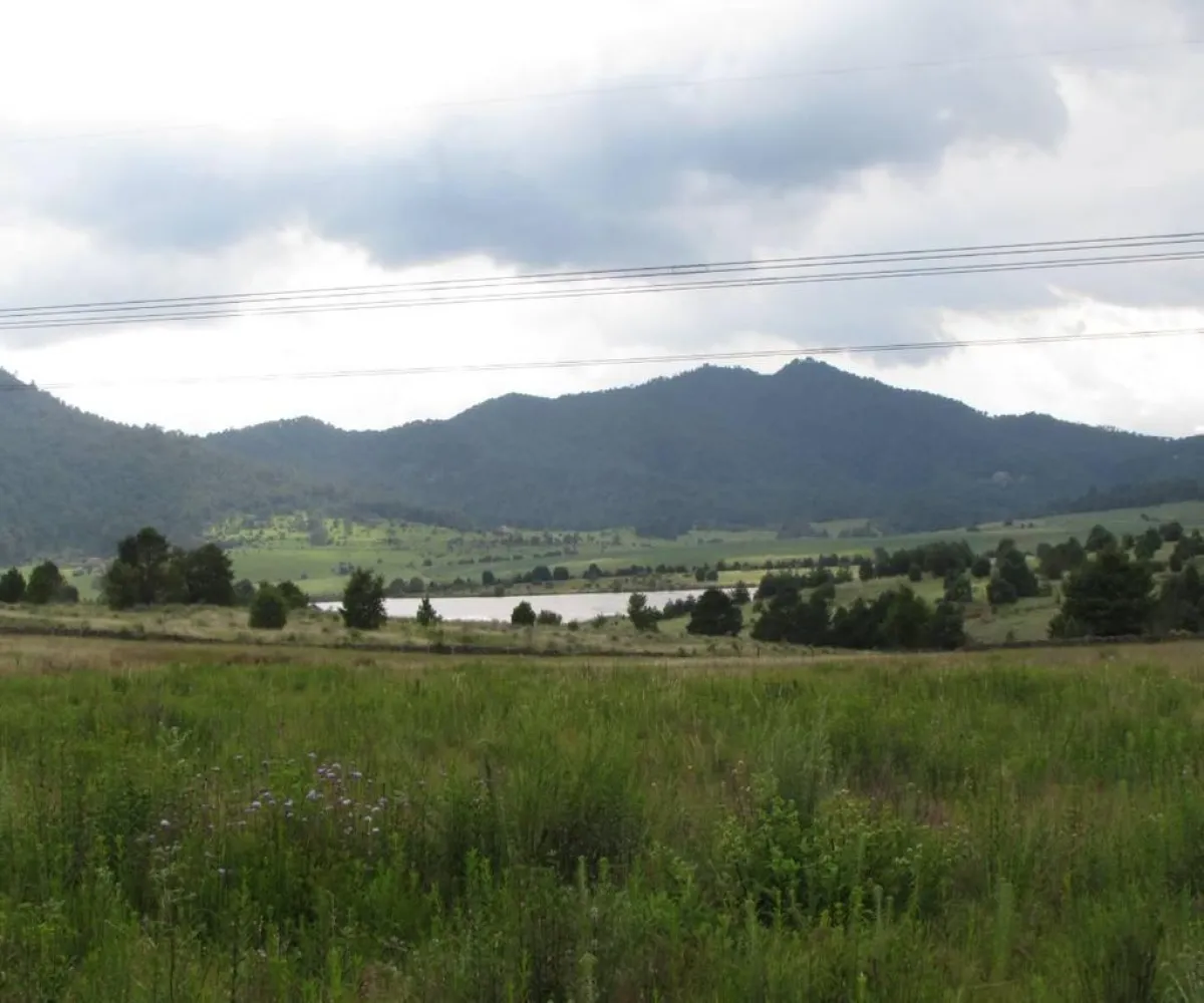 Terreno En Venta,Tapalpa,Hacienda San Francisco S/N, Tapalpa, Jalisco 49340,Hacienda San Francisco,pJI28iM