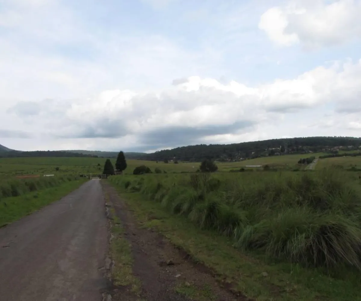 Terreno En Venta,Tapalpa,Hacienda San Francisco S/N, Tapalpa, Jalisco 49340,Hacienda San Francisco,pJI28iM