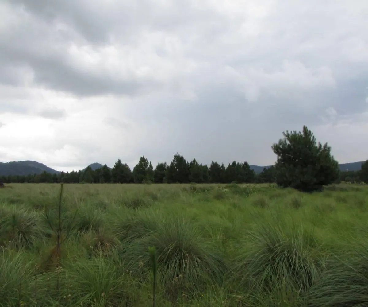 Terreno En Venta,Tapalpa,Hacienda San Francisco S/N, Tapalpa, Jalisco 49340,Hacienda San Francisco,pJI28iM