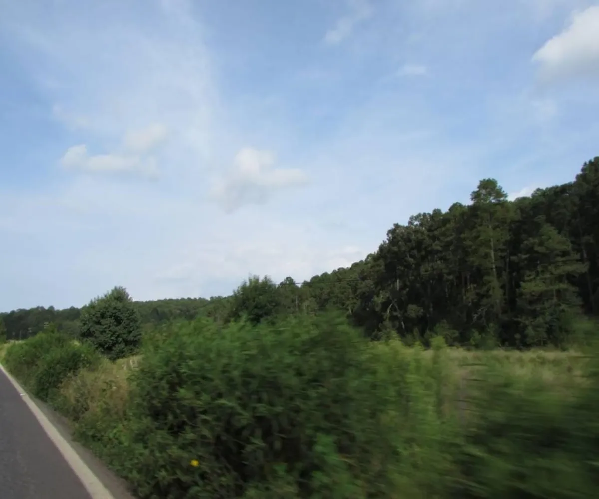 Terreno En Venta,Tapalpa,Hacienda San Francisco S/N, Tapalpa, Jalisco 49340,Hacienda San Francisco,pJI28iM