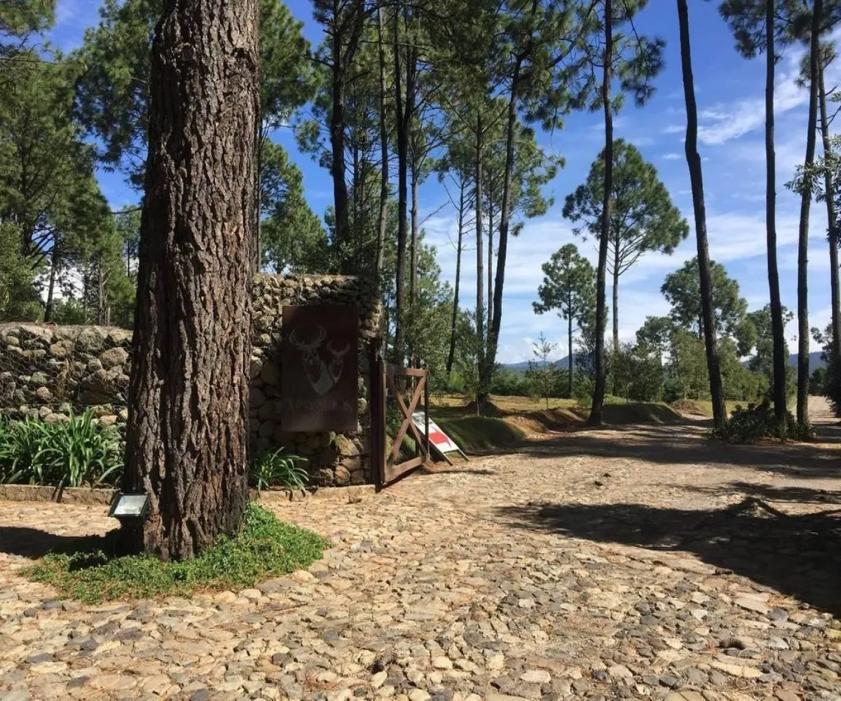 Terreno En Venta,Tapalpa,Hacienda San Francisco S/N, Tapalpa, Jalisco 49340,Hacienda San Francisco,pJI28iM