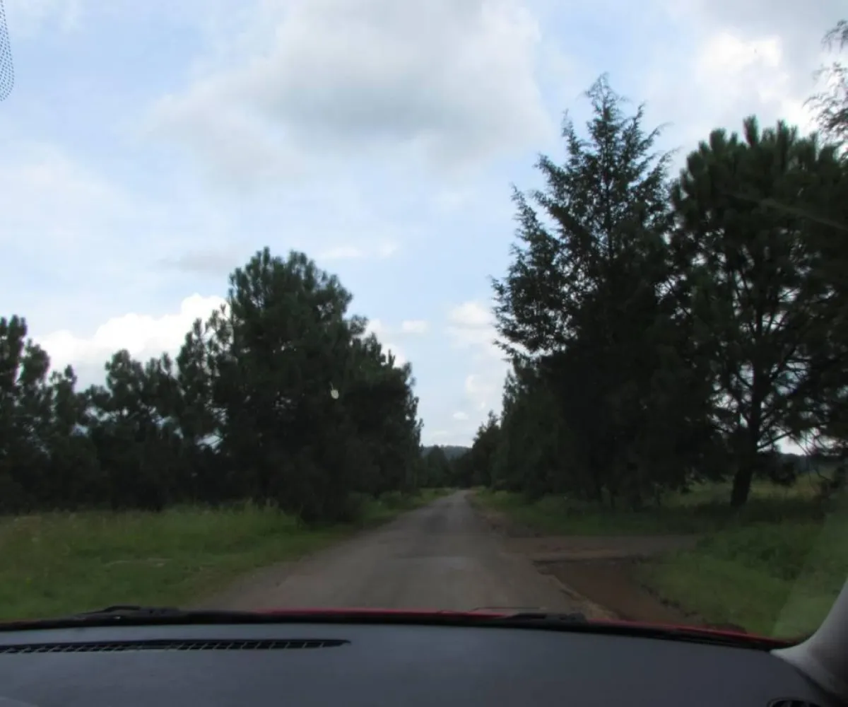 Terreno En Venta,Tapalpa,Hacienda San Francisco S/N, Tapalpa, Jalisco 49340,Hacienda San Francisco,pJI28iM