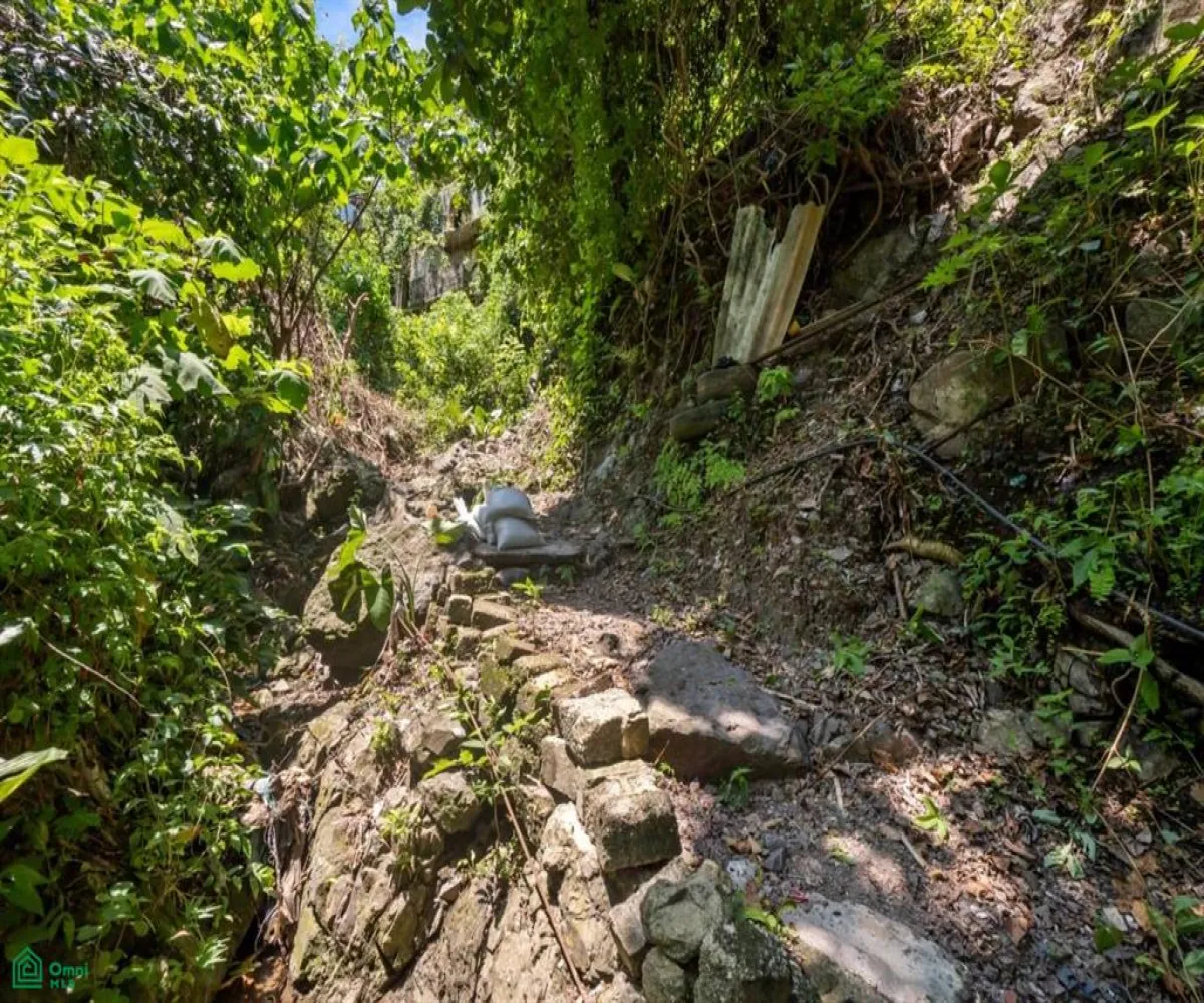 Terreno En Venta,Altavista,Jacarandas Lote 6 Manzana 486 C, Puerto Vallarta, Jalisco 48380,Jacarandas,MX25975088 Terreno En Venta,Altavista,Jacarandas Lote 6 Manzana 486 C, Puerto Vallarta, Jalisco 48380,Jacarandas,MX25975088