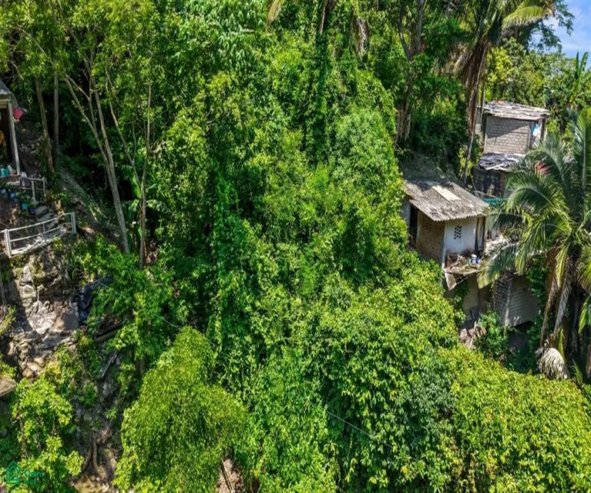 Terreno En Venta,Altavista,Jacarandas Lote 6 Manzana 486 C, Puerto Vallarta, Jalisco 48380,Jacarandas,MX25975088 Terreno En Venta,Altavista,Jacarandas Lote 6 Manzana 486 C, Puerto Vallarta, Jalisco 48380,Jacarandas,MX25975088