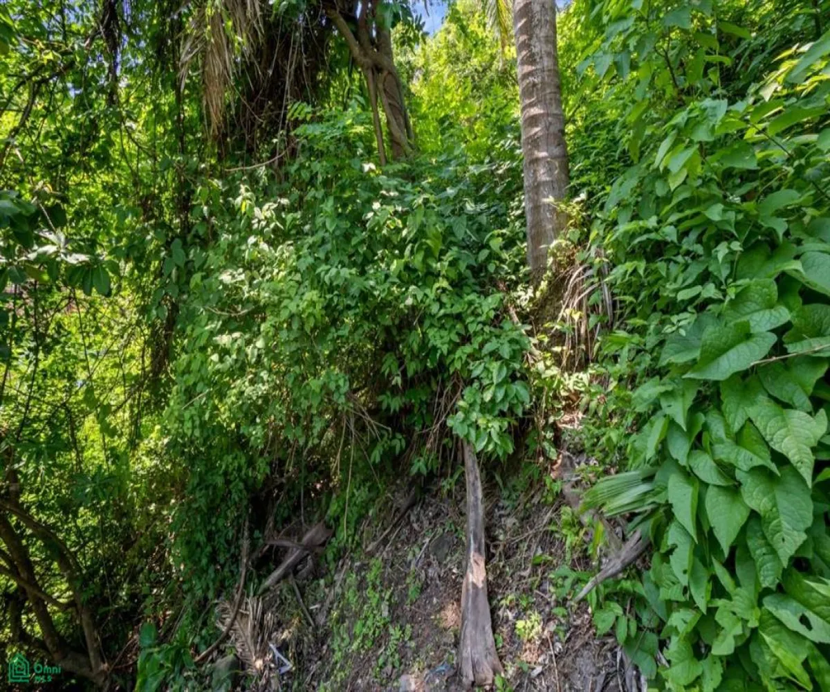 Terreno En Venta,Altavista,Jacarandas Lote 6 Manzana 486 C, Puerto Vallarta, Jalisco 48380,Jacarandas,MX25975088 Terreno En Venta,Altavista,Jacarandas Lote 6 Manzana 486 C, Puerto Vallarta, Jalisco 48380,Jacarandas,MX25975088