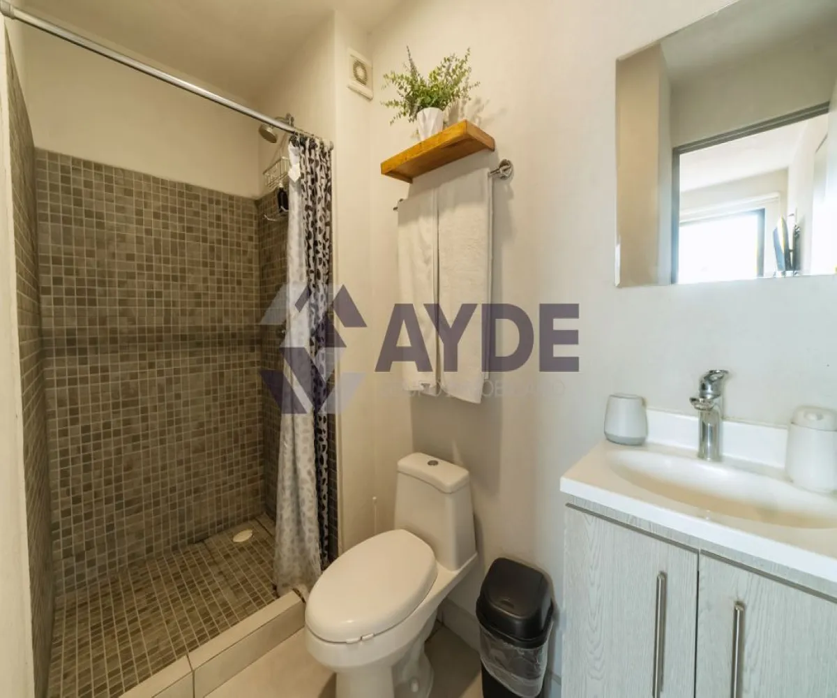 Departamento En Venta,Sutaj,Calzada Revolución 2070B 205A, Guadalajara, Jalisco 44840, 2 Habitaciones,2 Baños,Calzada Revolución,1,pQZsJjr Departamento En Venta,Sutaj,Calzada Revolución 2070B 205A, Guadalajara, Jalisco 44840, 2 Habitaciones,2 Baños,Calzada Revolución,1,pQZsJjr