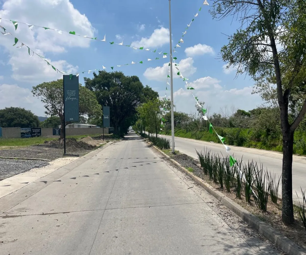 Terreno En Venta,Santa Ana Tepetitlán,Boulevard Bosques de Santa Anita 2377, Tlajomulco de Zúñiga, Jalisco 45645,Boulevard Bosques de Santa Anita,pviUlpx