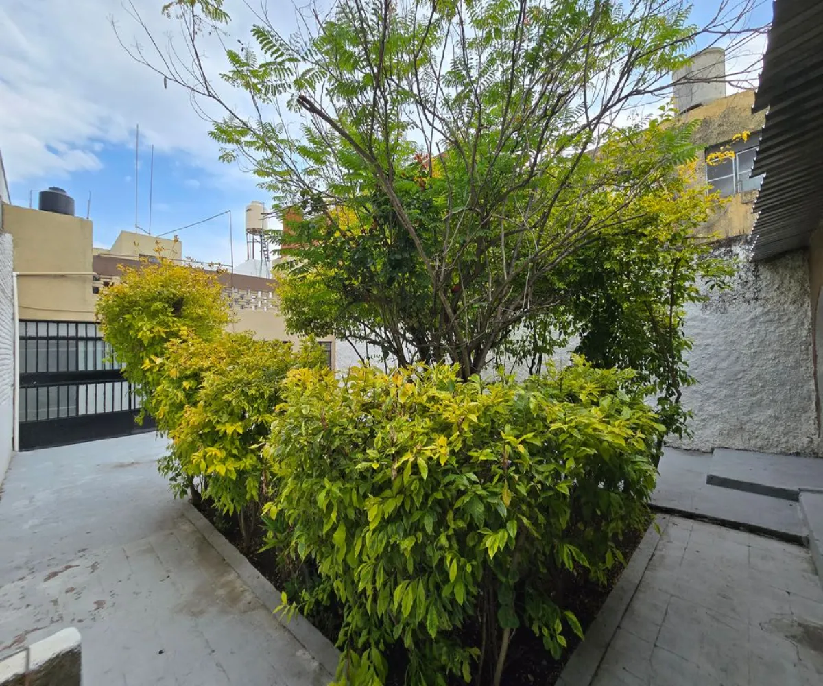 Casa En Renta,Zapopan,Calle López Cotilla 413, Zapopan, Jalisco 45160, 4 Habitaciones,1 Baño,Calle López Cotilla,1,pJbA7Nq