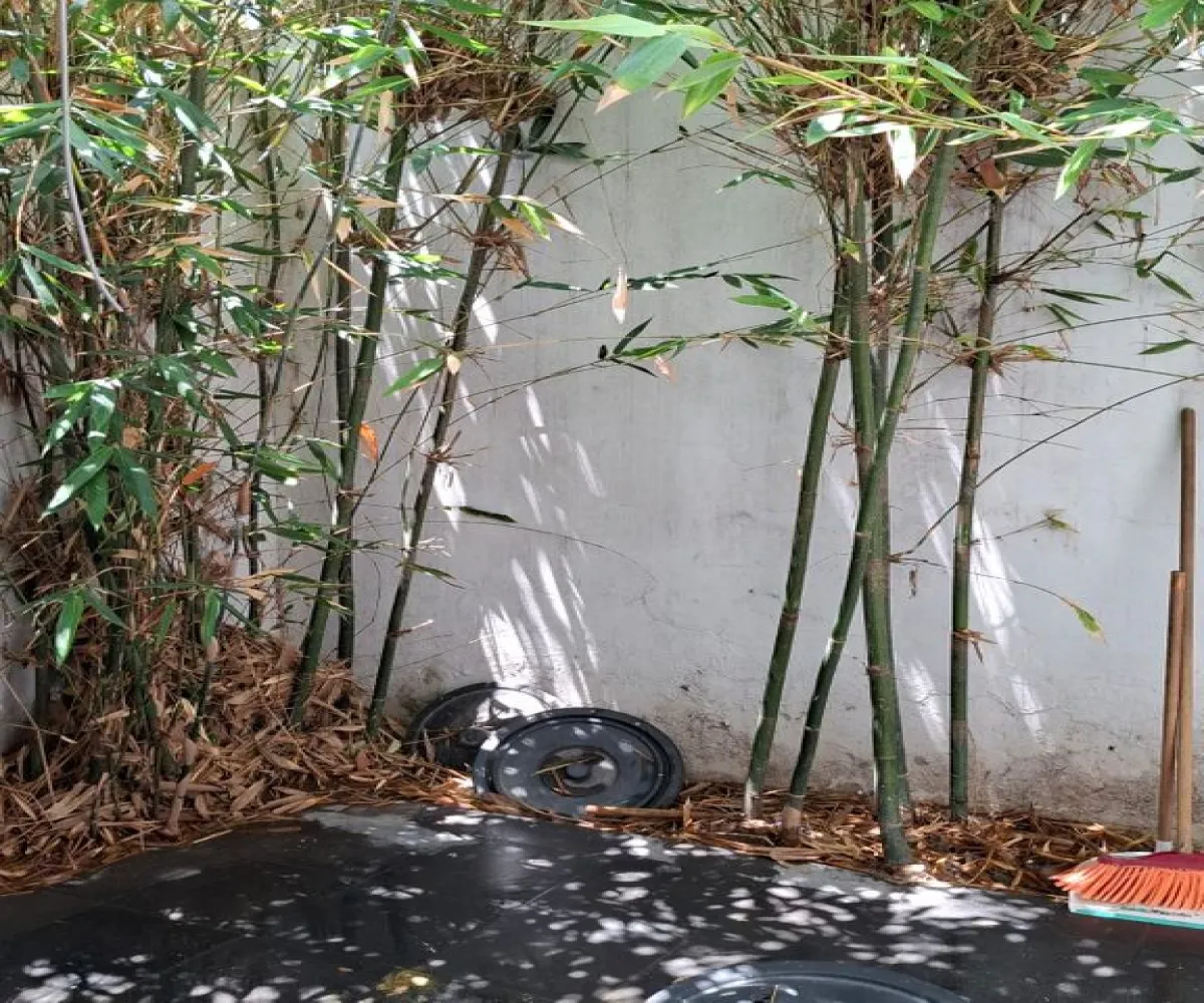 Casa En Venta,Rancho Grande,Molino ., Tlajomulco de Zúñiga, Jalisco 45640, 4 Habitaciones,2 Baños,Molino,2,pKvdYRZ