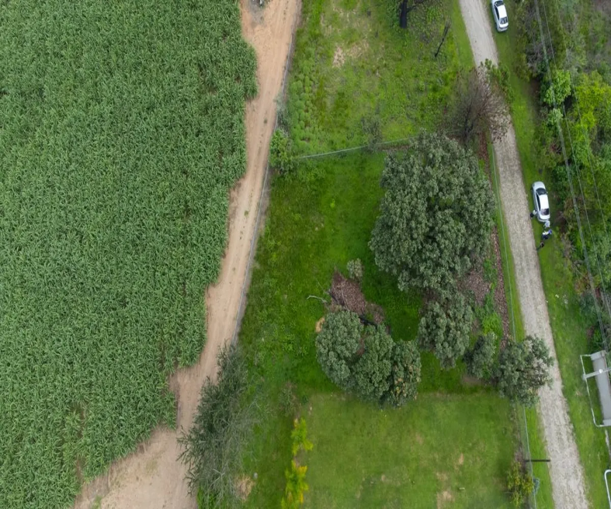 Terreno En Venta,El Arenal ,Paseo de las flores 2, El Arenal, Jalisco 45350,Paseo de las flores ,p80Hwn7