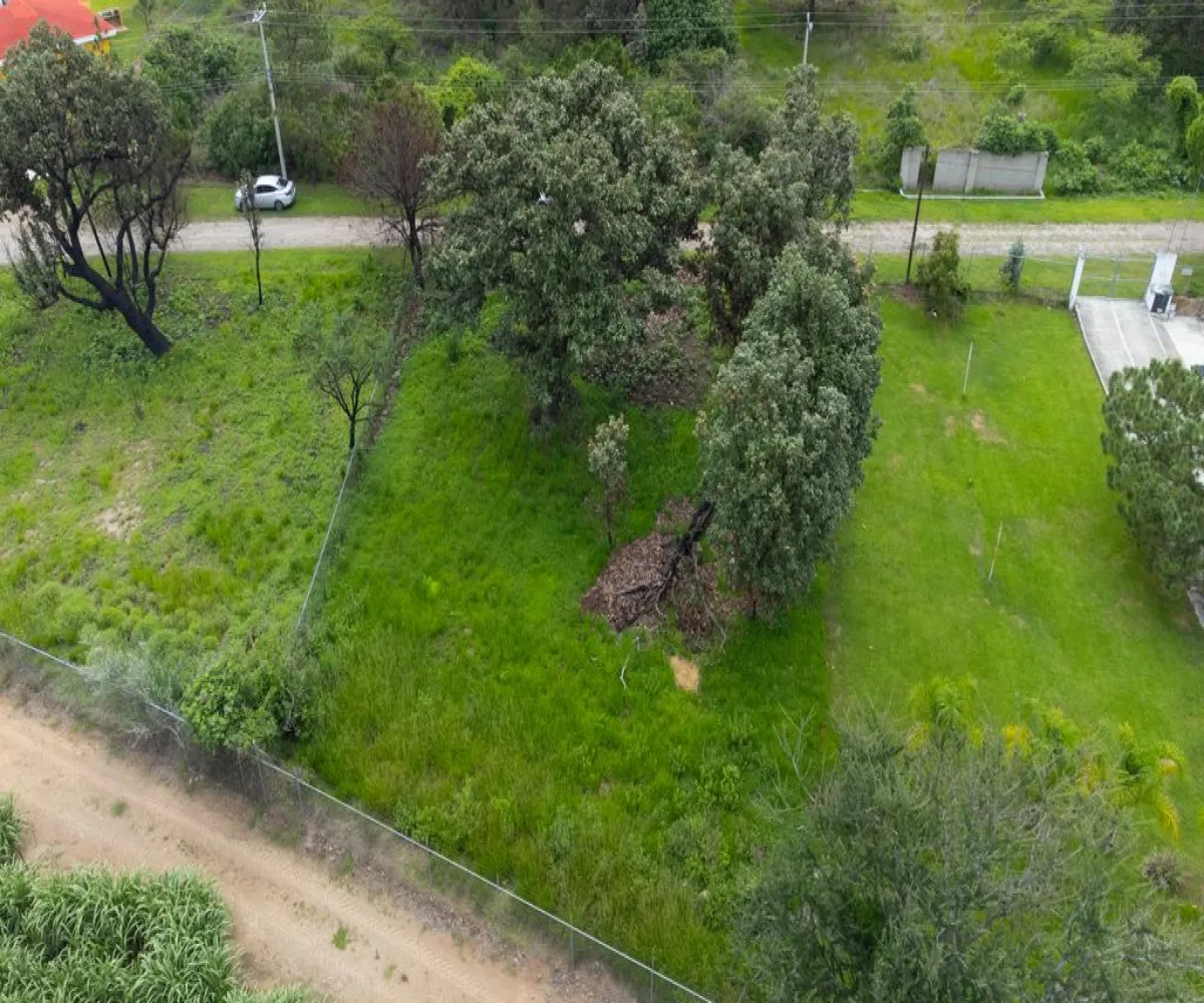 Terreno En Venta,El Arenal ,Paseo de las flores 2, El Arenal, Jalisco 45350,Paseo de las flores ,p80Hwn7