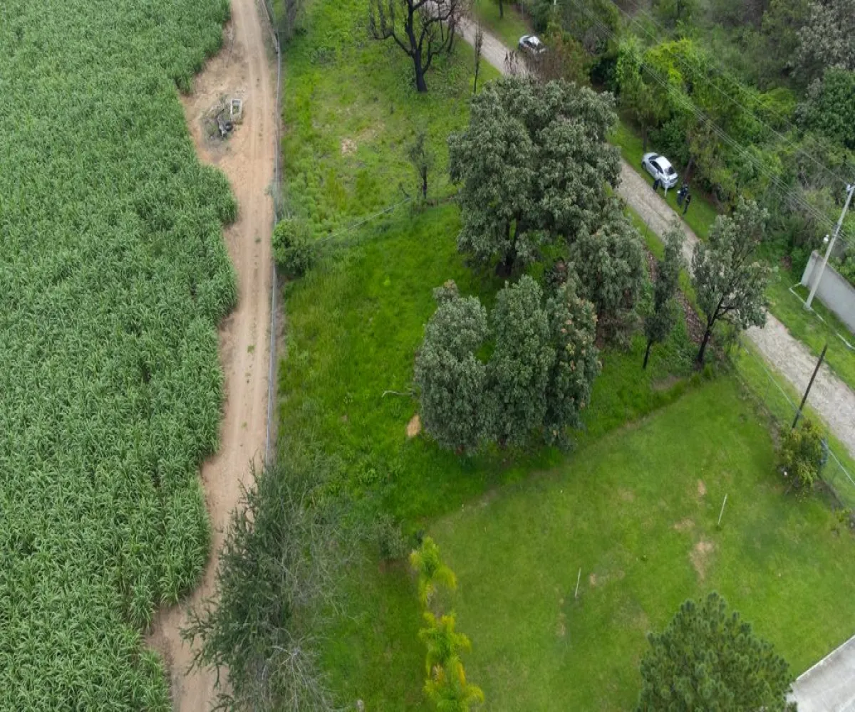 Terreno En Venta,El Arenal ,Paseo de las flores 2, El Arenal, Jalisco 45350,Paseo de las flores ,p80Hwn7