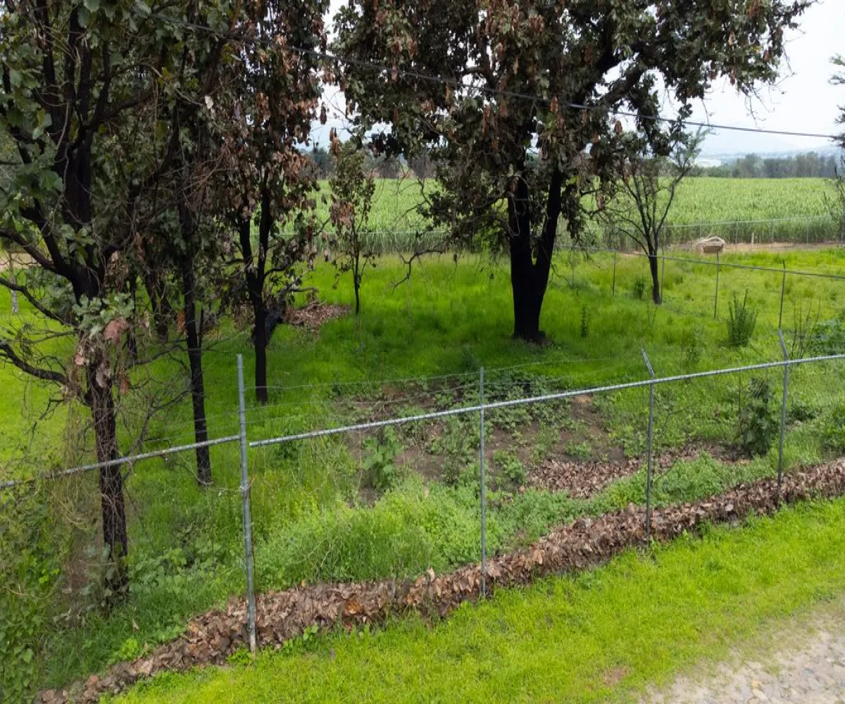 Terreno En Venta,El Arenal ,Paseo de las flores 2, El Arenal, Jalisco 45350,Paseo de las flores ,p80Hwn7