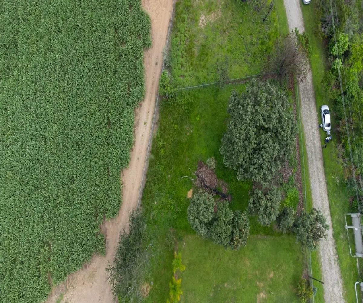 Terreno En Venta,El Arenal ,Paseo de las flores 2, El Arenal, Jalisco 45350,Paseo de las flores ,p80Hwn7