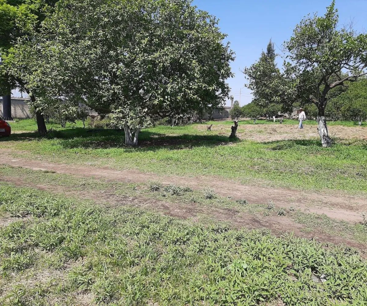 Terreno En Venta,Carretera Guadalajara - Chapala S/N, Tlajomulco de Zúñiga, Jalisco 45672,Carretera Guadalajara - Chapala,p04oyGP