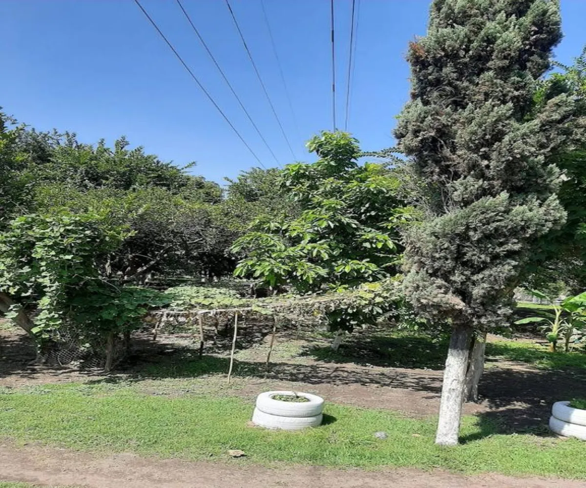 Terreno En Venta,Carretera Guadalajara - Chapala S/N, Tlajomulco de Zúñiga, Jalisco 45672,Carretera Guadalajara - Chapala,p04oyGP