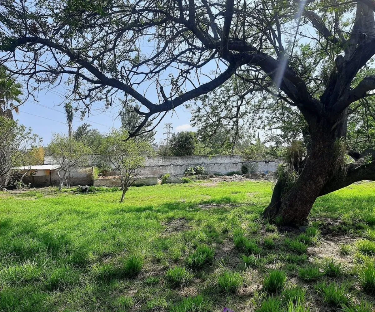 Terreno En Venta,Carretera Guadalajara - Chapala S/N, Tlajomulco de Zúñiga, Jalisco 45672,Carretera Guadalajara - Chapala,p04oyGP