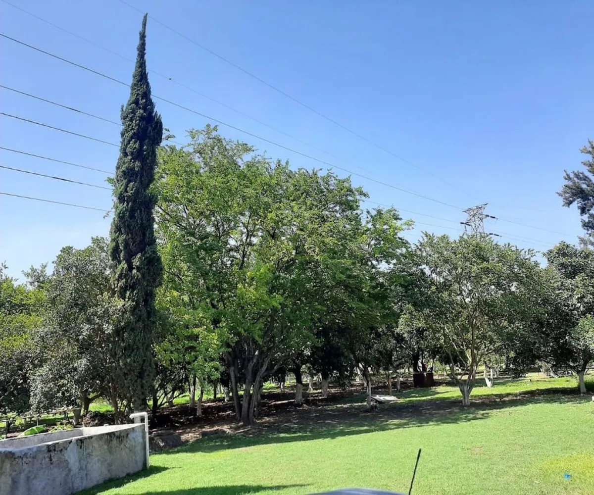 Terreno En Venta,Carretera Guadalajara - Chapala S/N, Tlajomulco de Zúñiga, Jalisco 45672,Carretera Guadalajara - Chapala,p04oyGP