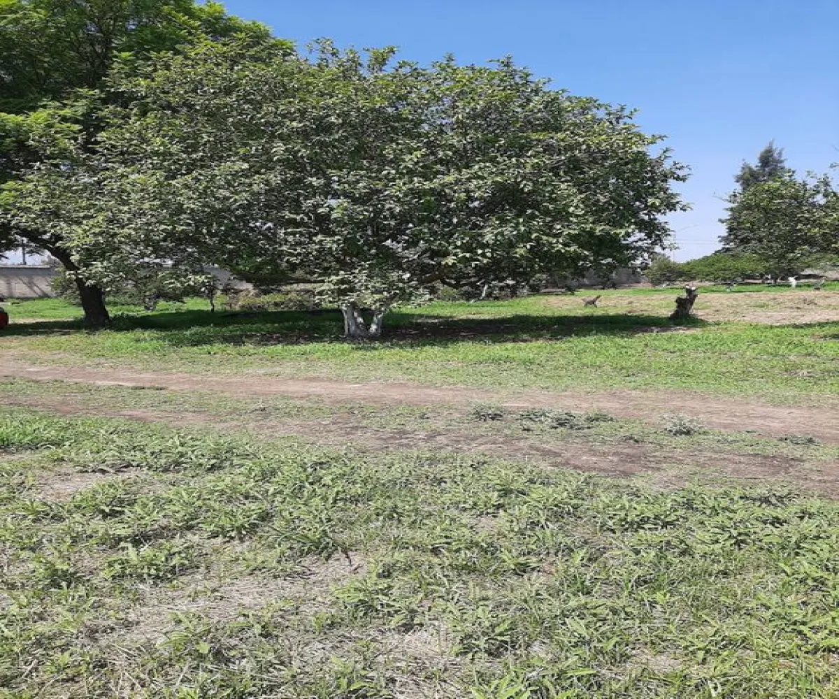 Terreno En Venta,Carretera Guadalajara - Chapala S/N, Tlajomulco de Zúñiga, Jalisco 45672,Carretera Guadalajara - Chapala,p04oyGP