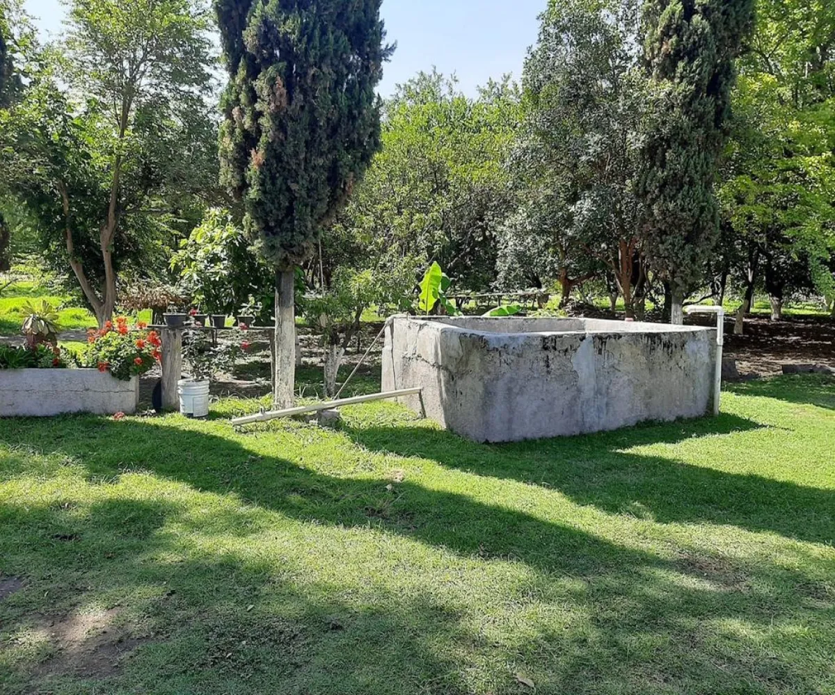 Terreno En Venta,Carretera Guadalajara - Chapala S/N, Tlajomulco de Zúñiga, Jalisco 45672,Carretera Guadalajara - Chapala,p04oyGP