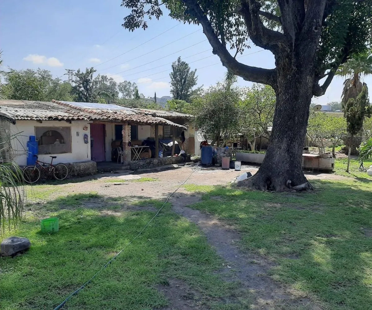 Terreno En Venta,Carretera Guadalajara - Chapala S/N, Tlajomulco de Zúñiga, Jalisco 45672,Carretera Guadalajara - Chapala,p04oyGP