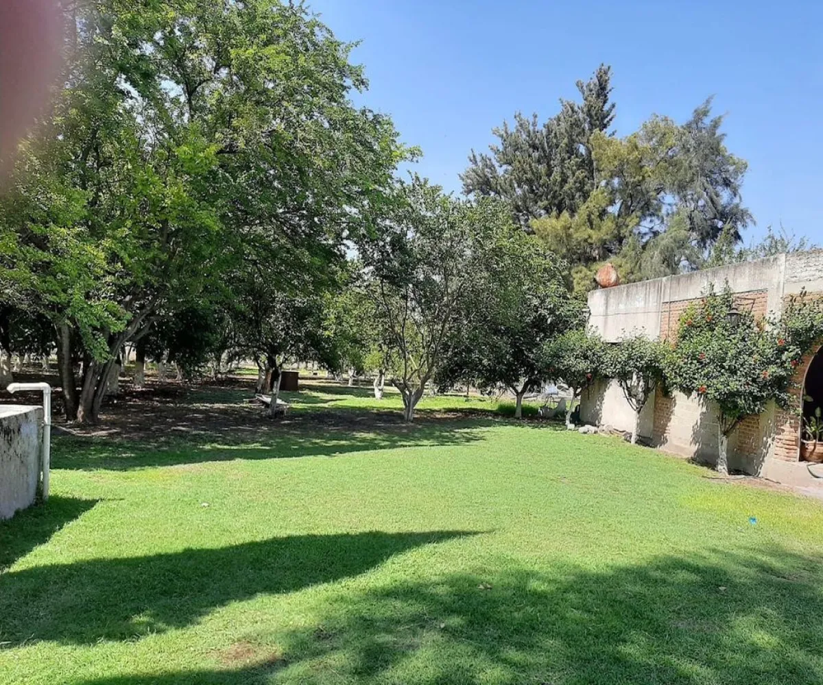 Terreno En Venta,Carretera Guadalajara - Chapala S/N, Tlajomulco de Zúñiga, Jalisco 45672,Carretera Guadalajara - Chapala,p04oyGP