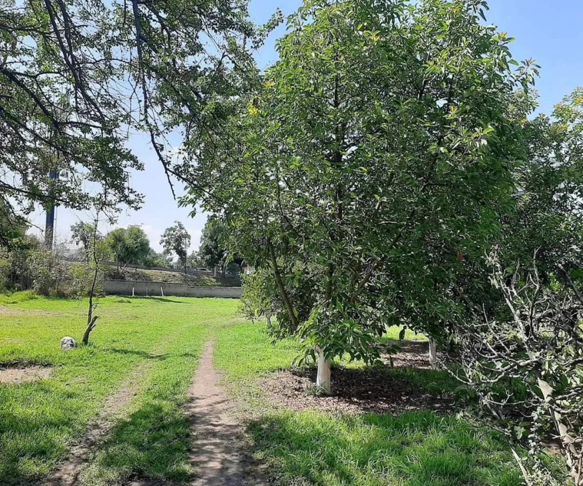 Terreno En Venta,Carretera Guadalajara - Chapala S/N, Tlajomulco de Zúñiga, Jalisco 45672,Carretera Guadalajara - Chapala,p04oyGP