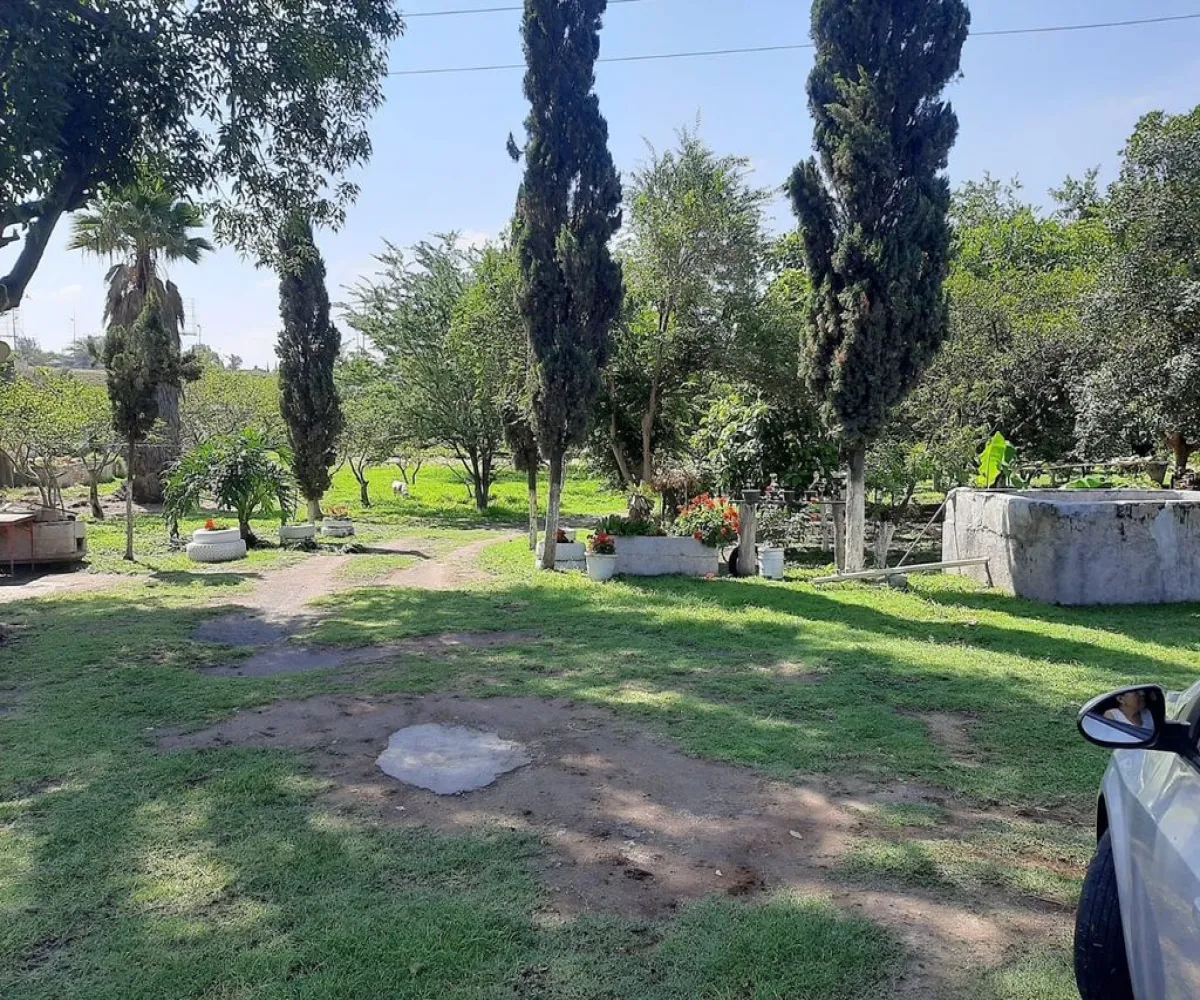 Terreno En Venta,Carretera Guadalajara - Chapala S/N, Tlajomulco de Zúñiga, Jalisco 45672,Carretera Guadalajara - Chapala,p04oyGP