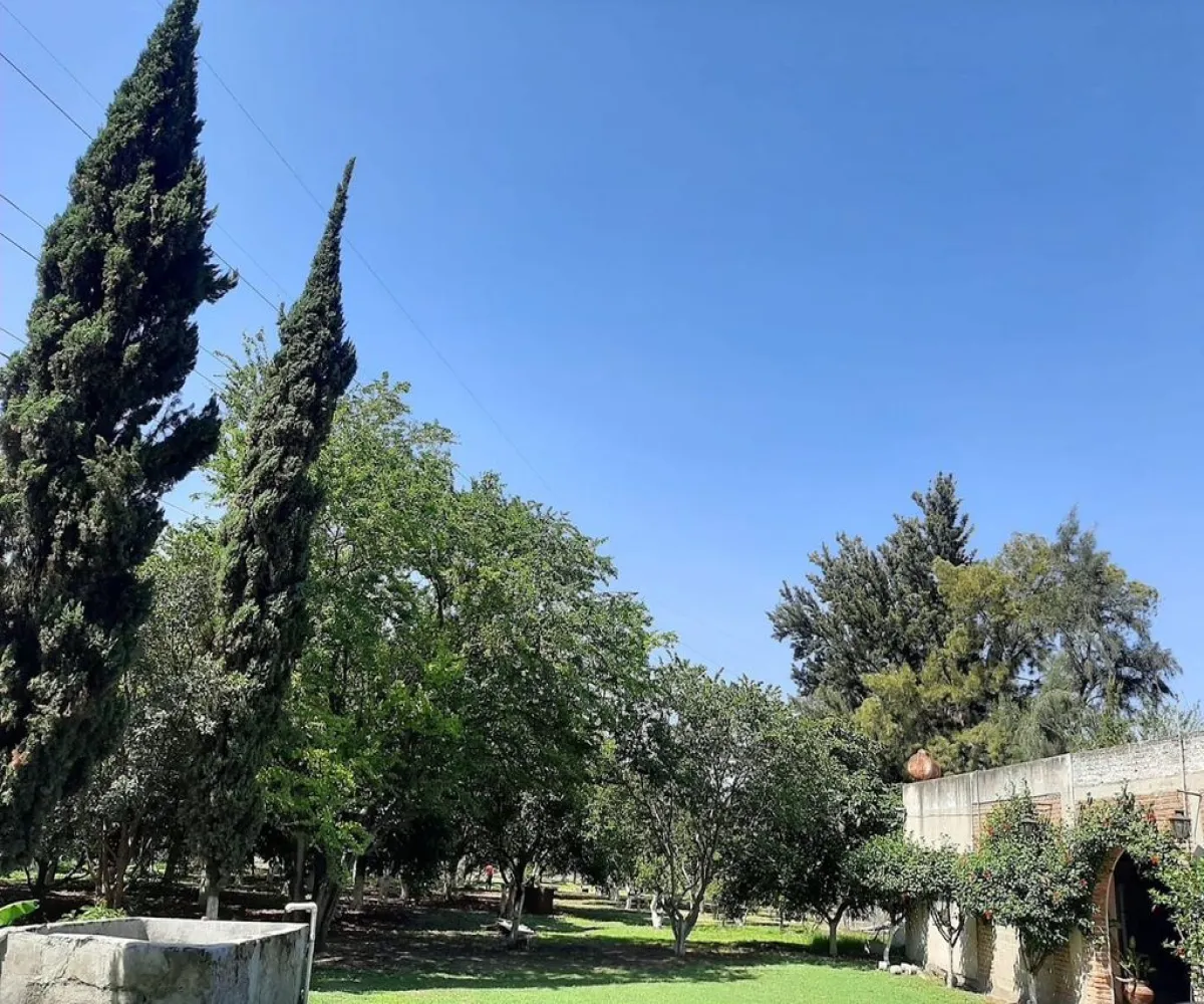 Terreno En Venta,Carretera Guadalajara - Chapala S/N, Tlajomulco de Zúñiga, Jalisco 45672,Carretera Guadalajara - Chapala,p04oyGP