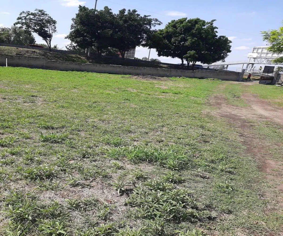 Terreno En Venta,Carretera Guadalajara - Chapala S/N, Tlajomulco de Zúñiga, Jalisco 45672,Carretera Guadalajara - Chapala,p04oyGP