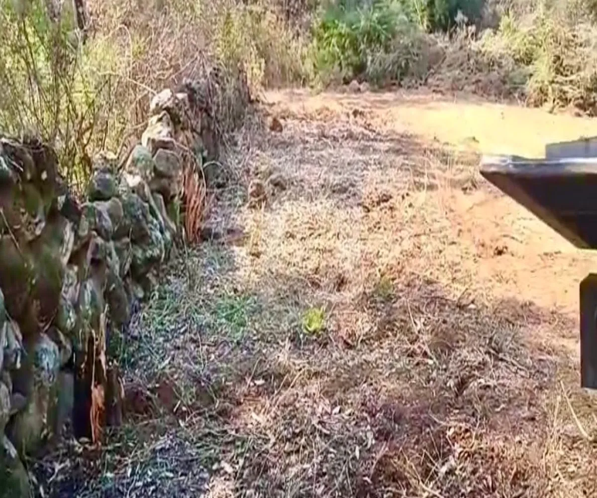 Terreno En Venta,Predio rustico Bembericua y Lagunita S/N, Mazamitla, Jalisco 45412,Predio rustico Bembericua y Lagunita,p6ZZWj9