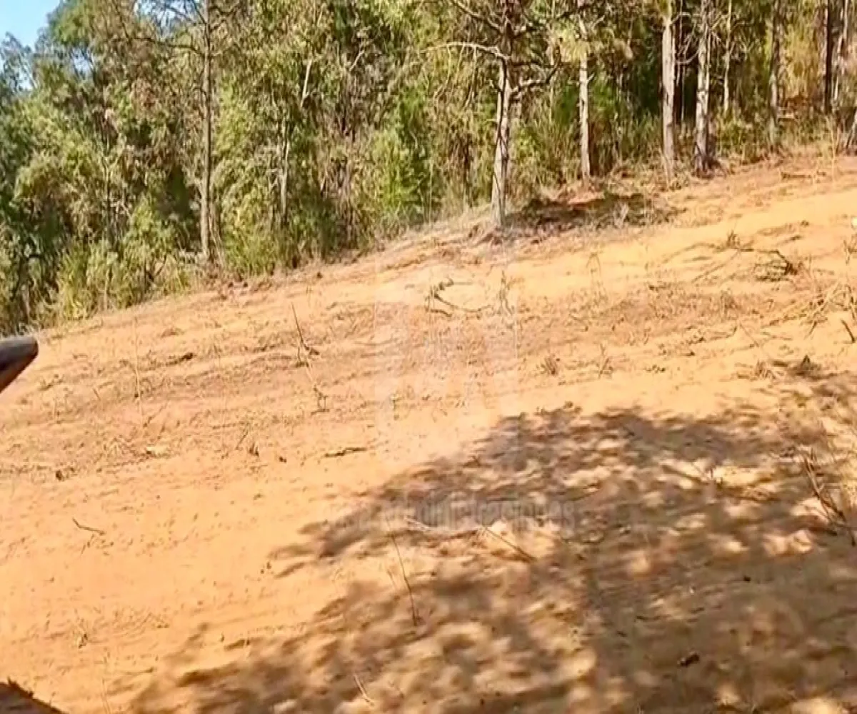 Terreno En Venta,Predio rustico Bembericua y Lagunita S/N, Mazamitla, Jalisco 45412,Predio rustico Bembericua y Lagunita,p6ZZWj9