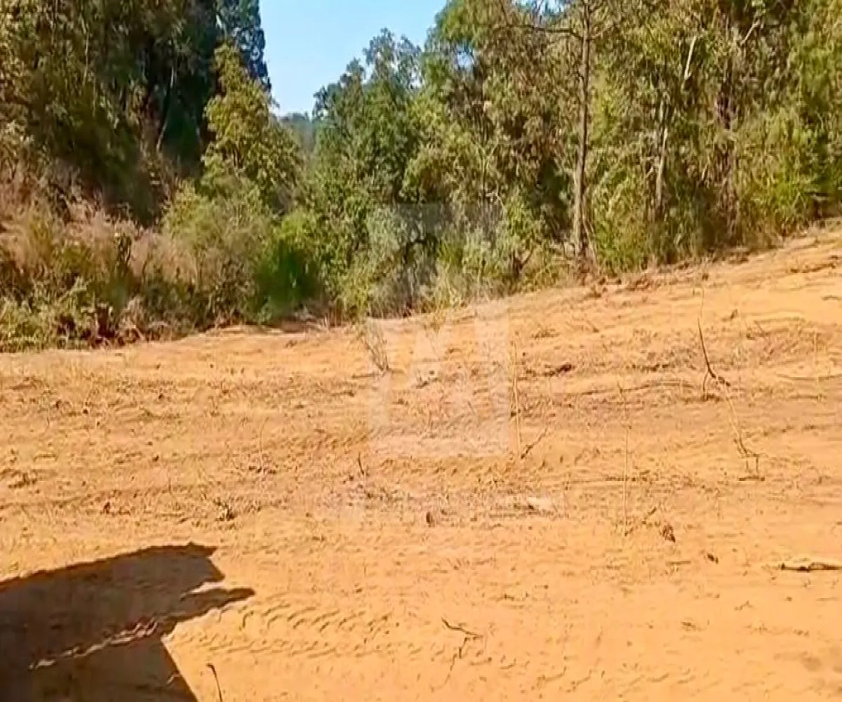 Terreno En Venta,Predio rustico Bembericua y Lagunita S/N, Mazamitla, Jalisco 45412,Predio rustico Bembericua y Lagunita,p6ZZWj9