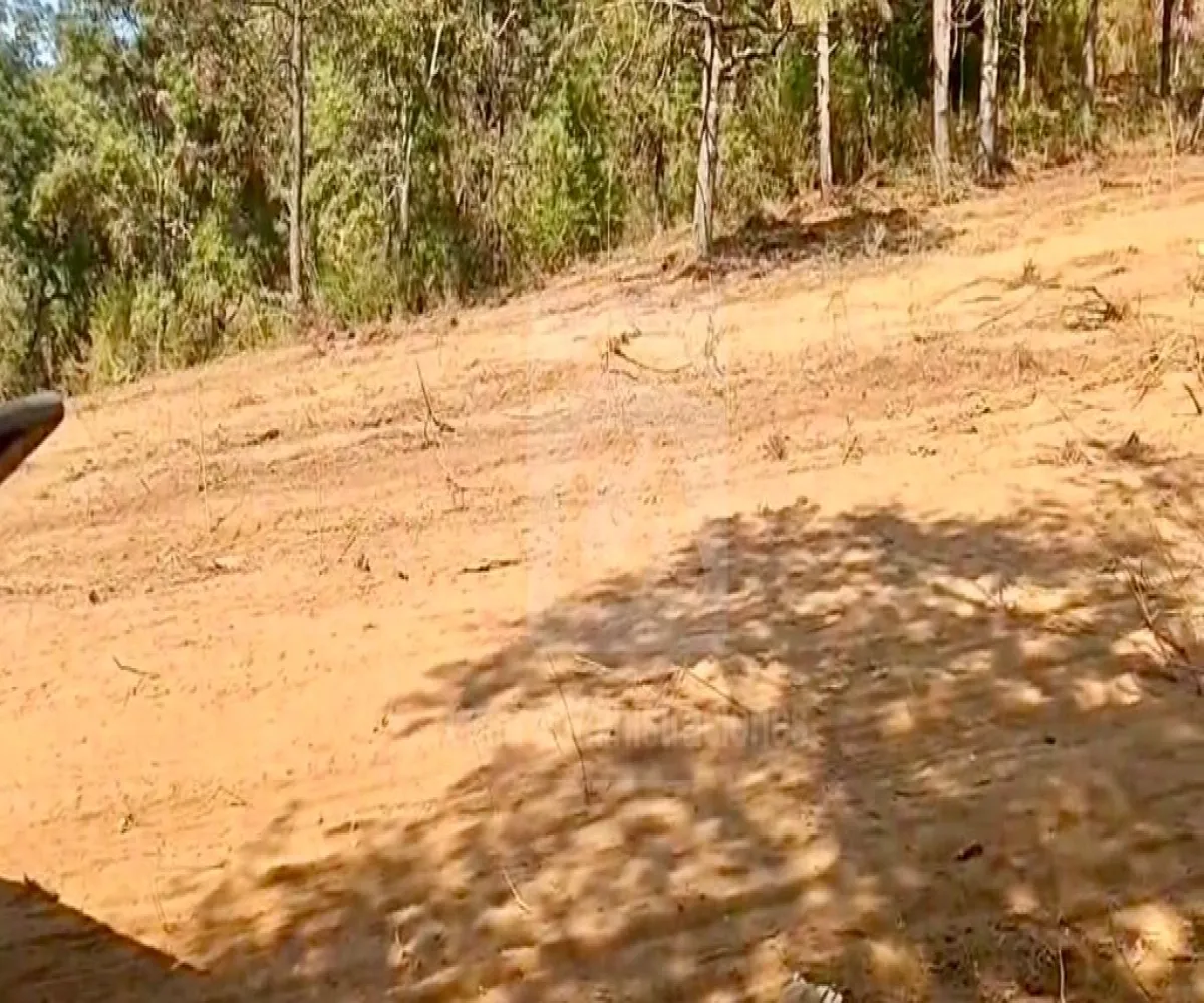 Terreno En Venta,Predio rustico Bembericua y Lagunita S/N, Mazamitla, Jalisco 45412,Predio rustico Bembericua y Lagunita,p6ZZWj9