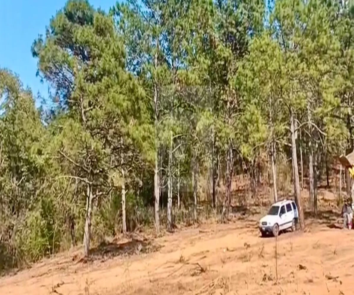 Terreno En Venta,Predio rustico Bembericua y Lagunita S/N, Mazamitla, Jalisco 45412,Predio rustico Bembericua y Lagunita,p6ZZWj9