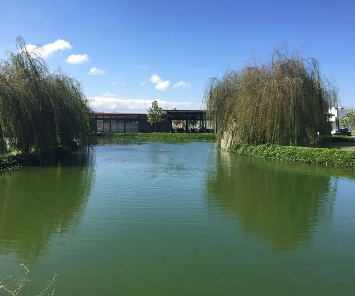 Casa En Renta,FRACIONAMIENTO PUNTO SUR 1,Alameda Punto Sur 6027, Tlajomulco de Zúñiga, Jalisco 45645, 3 Habitaciones,4 Baños,Alameda Punto Sur,3,pbde5iV