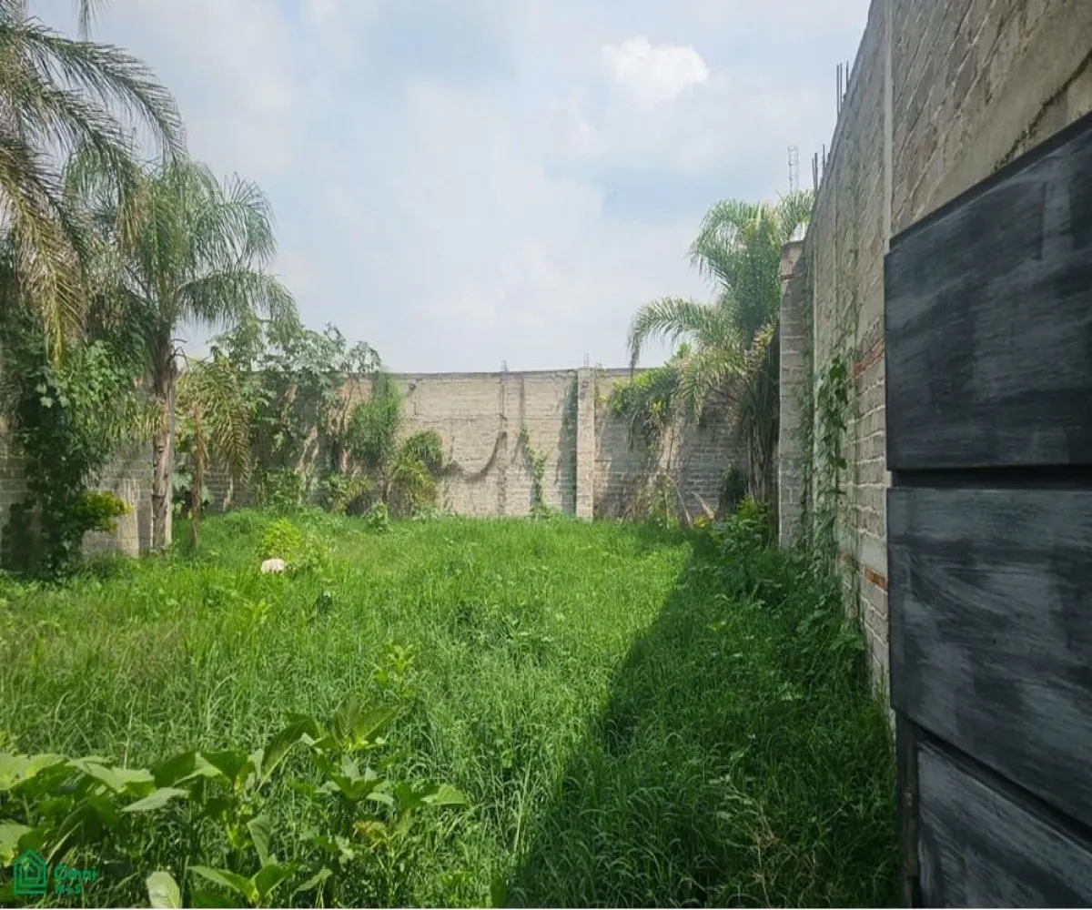 Terreno En Venta,La Unión Del 4,privada sin nombre 12, Tlajomulco de Zuniga, Jalisco 45654,privada sin nombre,MX25980288