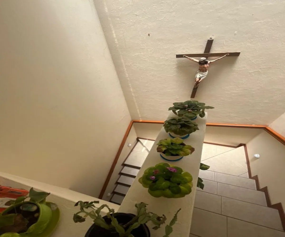 Casa En Venta,El Tigre,El Zapote S/N, Zapopan, Jalisco 45138, 3 Habitaciones,2 Baños,El Zapote ,1,pvhCtz7