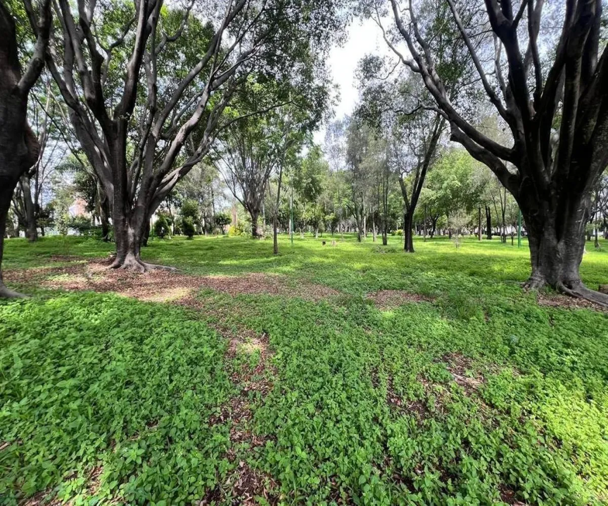 Casa En Venta,Lomas de Zapopan,Calle Trafalgar 2202, Zapopan, Jalisco 45130, 3 Habitaciones,2 Baños,Calle Trafalgar,2,pChxrv6