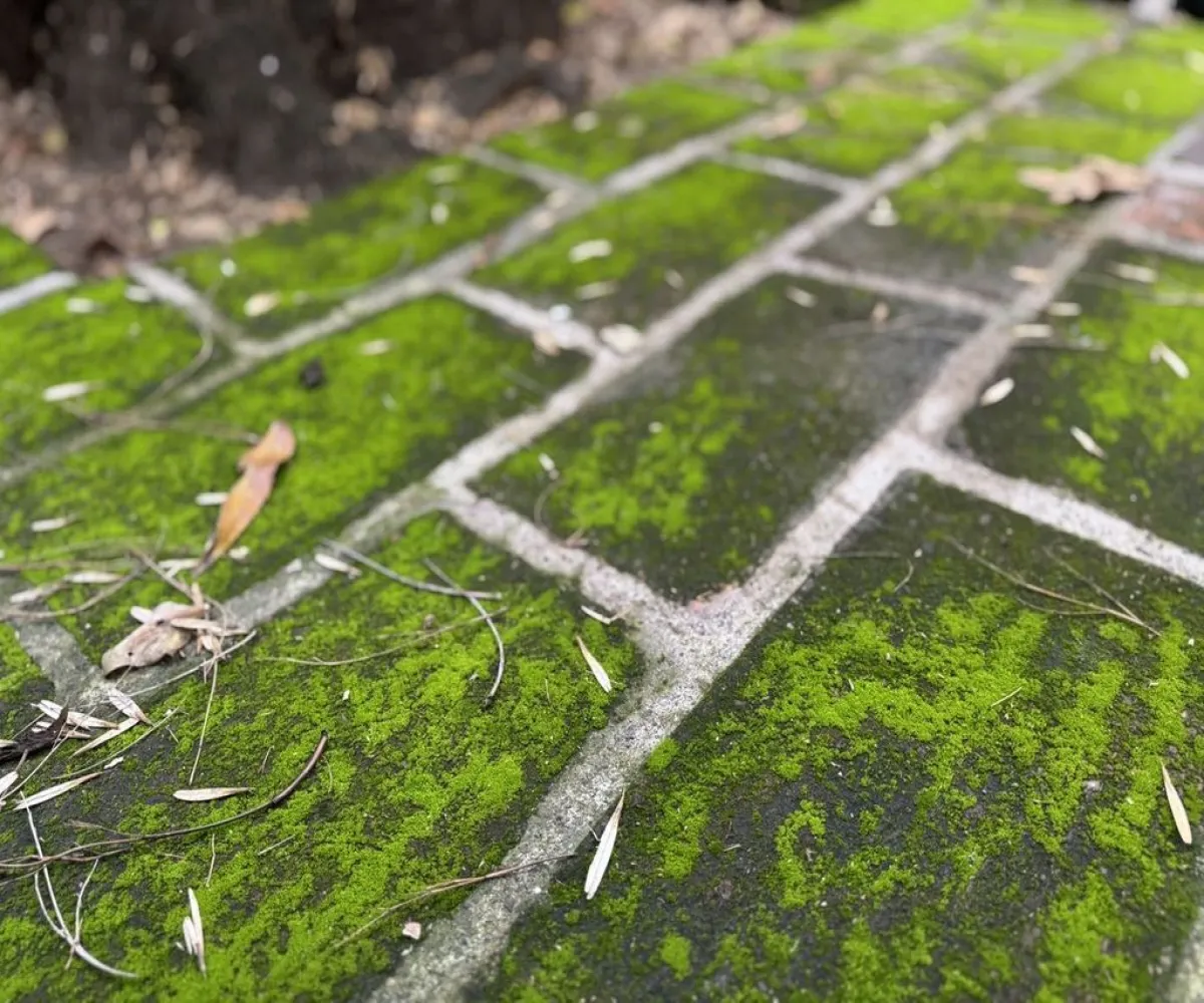 Casa En Renta,Ciudad del Sol,Avenida Cubilete 45, Zapopan, Jalisco 45040, 7 Habitaciones,2 Baños,Avenida Cubilete,1,pLkS7KJ