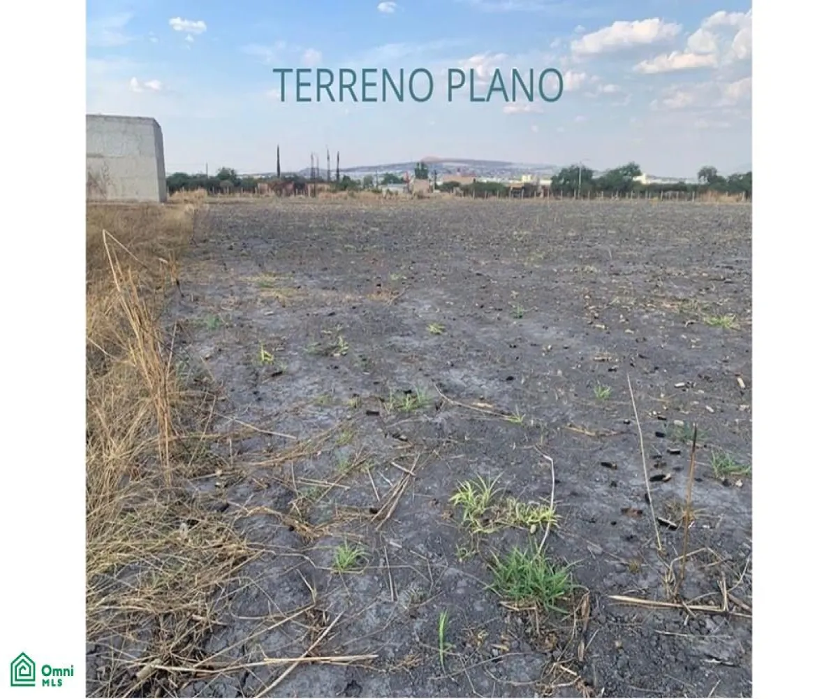 Edificio En Venta,El Zapote Del Valle,Carretera Guadalajara-Chapala S/N, Tlajomulco de Zuniga, Jalisco 46672,Carretera Guadalajara-Chapala,MX25984705