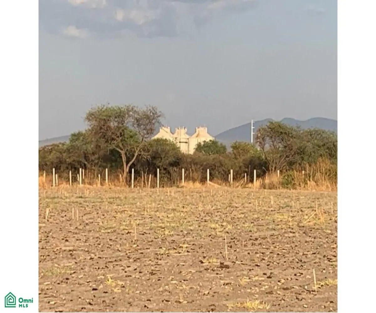 Edificio En Venta,El Zapote Del Valle,Carretera Guadalajara-Chapala S/N, Tlajomulco de Zuniga, Jalisco 46672,Carretera Guadalajara-Chapala,MX25984705