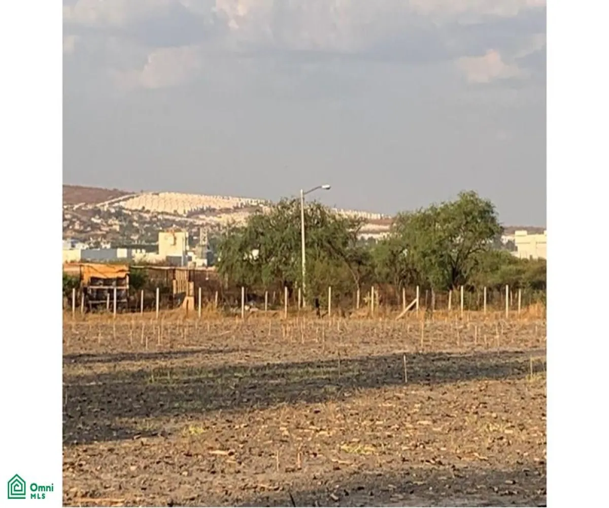 Edificio En Venta,El Zapote Del Valle,Carretera Guadalajara-Chapala S/N, Tlajomulco de Zuniga, Jalisco 46672,Carretera Guadalajara-Chapala,MX25984705