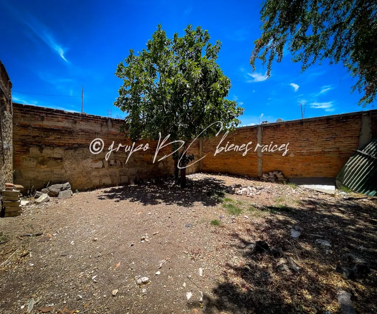 Terreno En Venta,Rancho Nuevo,Calle Eutimio Pinzón 1241, Guadalajara, Jalisco 44240,Calle Eutimio Pinzón,pFDL9IF