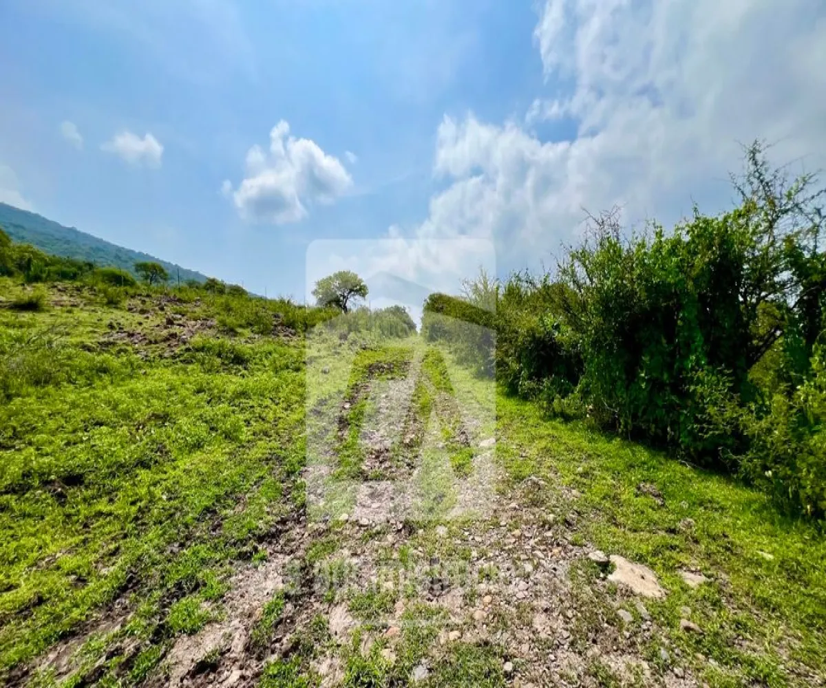 Terreno En Venta,Rancho Miraflores ,Camino del Huizache lote 36 manzana 43, Juanacatlán, Jalisco 45890,Camino del Huizache,pEOW4d8