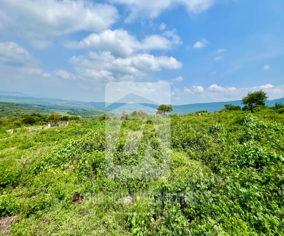 Terreno En Venta,Rancho Miraflores ,Camino del Huizache lote 36 manzana 43, Juanacatlán, Jalisco 45890,Camino del Huizache,pEOW4d8