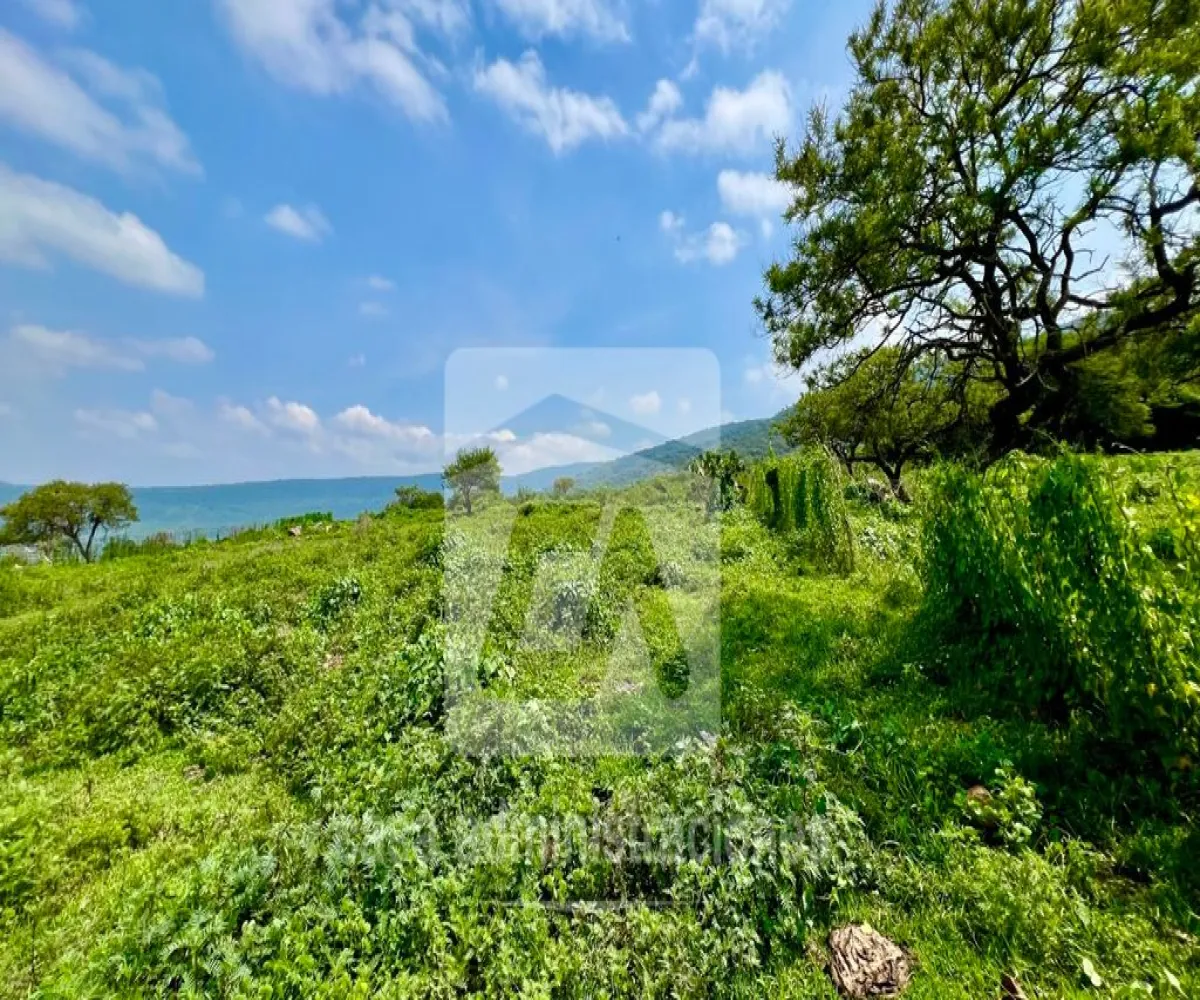 Terreno En Venta,Rancho Miraflores ,Camino del Huizache lote 36 manzana 43, Juanacatlán, Jalisco 45890,Camino del Huizache,pEOW4d8