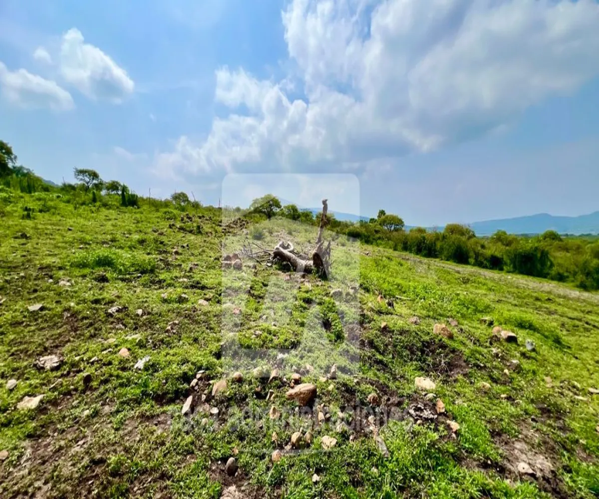 Terreno En Venta,Rancho Miraflores ,Camino del Huizache lote 36 manzana 43, Juanacatlán, Jalisco 45890,Camino del Huizache,pEOW4d8